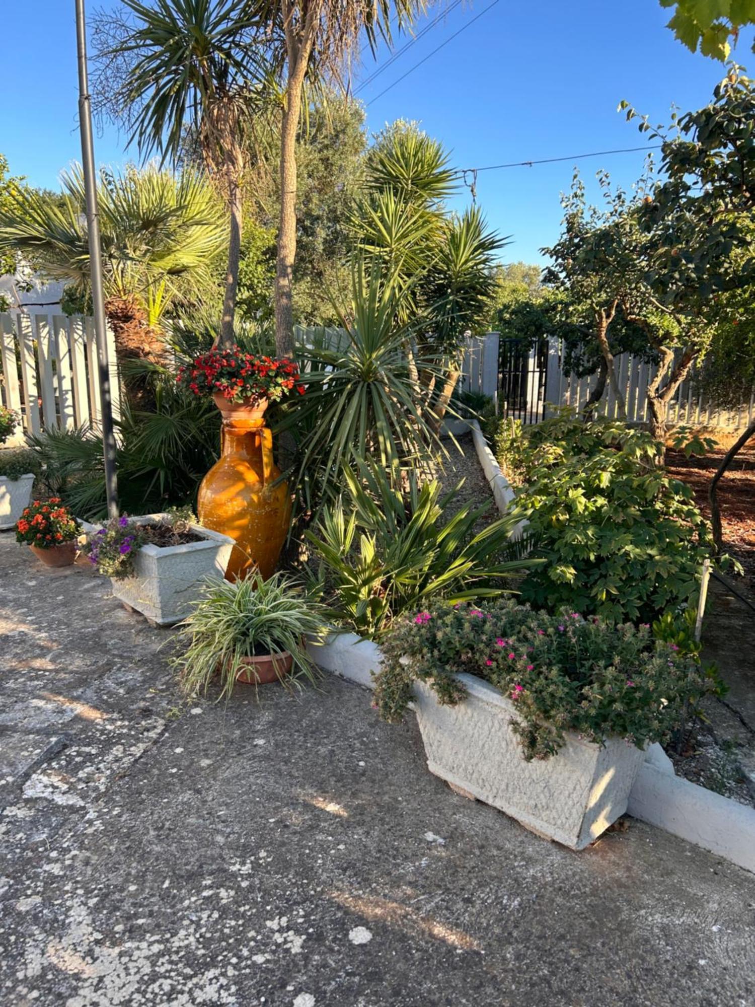 Trullo Elisabetta Villa Ceglie Messapica Exteriör bild